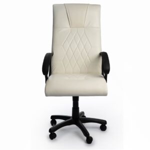 Fauteuil President en skai accoudoir plastic - Blanc - s21